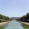 "Il filare di lecci della Via d'Acqua: ecologia di un'architettura". Giornata di studio dedicata al Parco Reale