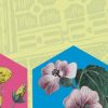 Ciclo di Conferenze:  "Attraverso giardini e paesaggi. Esplorazioni e letture".