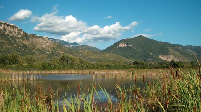 Parco di Pantanello, natura selvaggia a misura di birdwatcher