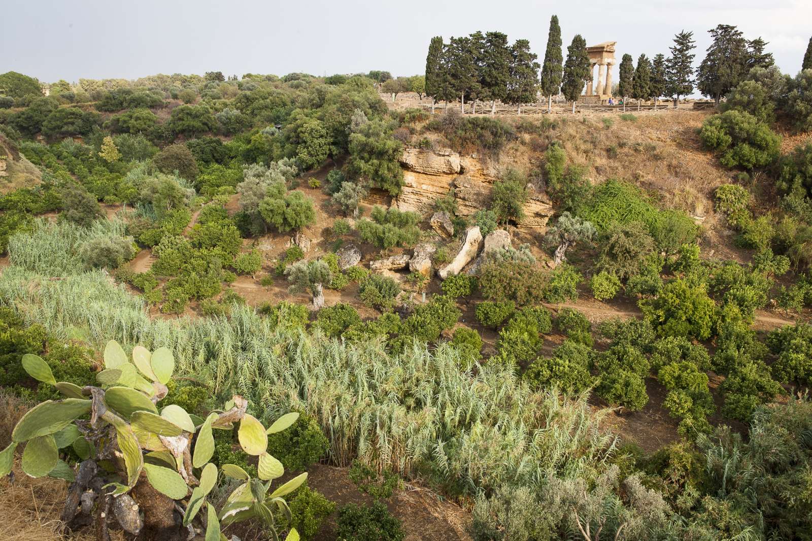 Foto di Vincenzo Cammarata, 2013 © FAI - Fondo Ambiente Italiano