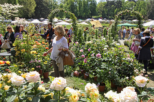 APGI a Masino per l’evento “Tre Giorni per il Giardino”