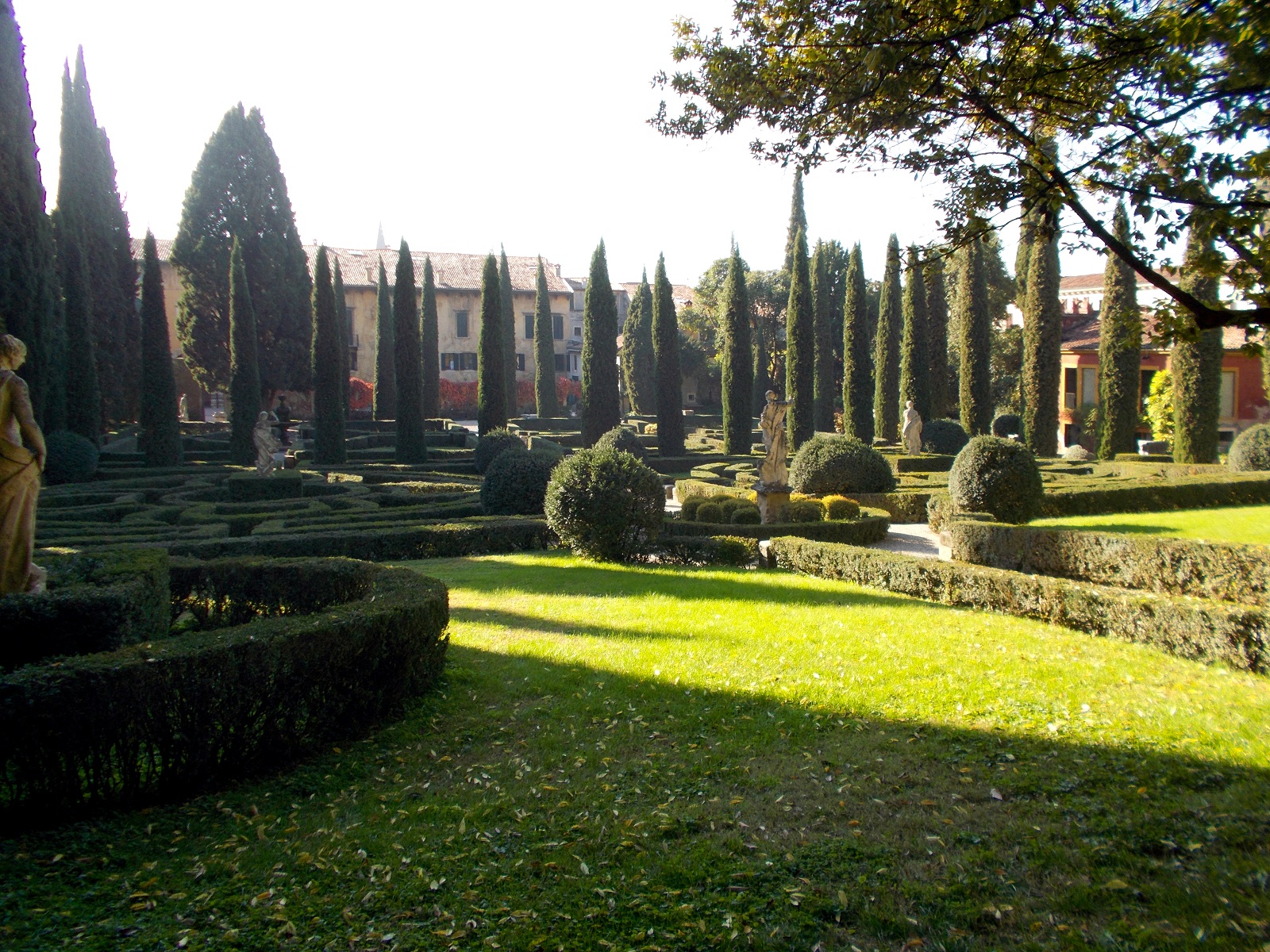 il-parterre-visto-dal-bosco