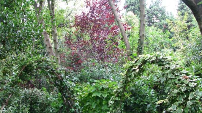 Parco Giardino dei Ligustri (PE): fino ad Ottobre al via le visite guidate