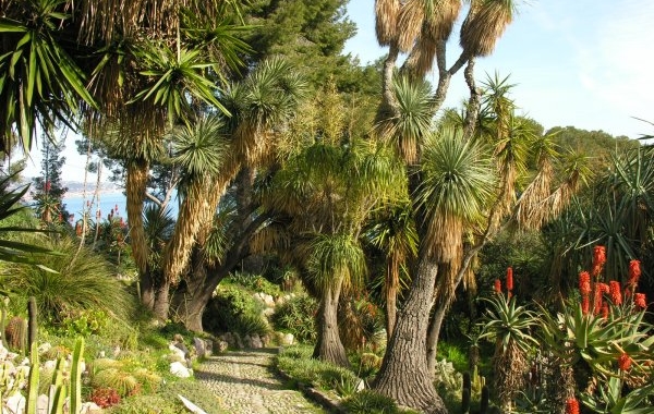 Ai Giardini Botanici Hanbury incontro sulla biodiversità transfrontaliera