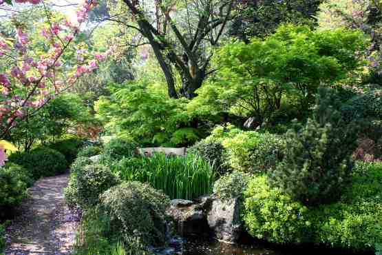 “Natura svelata: la magia delle caducifoglie” . Se ne parla all’Orto Botanico della Sapienza a Roma