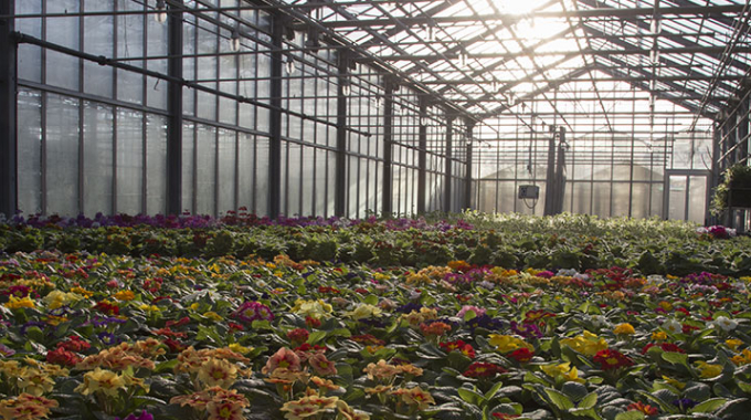 Gli eventi di Primavera alla Fondazione Minoprio