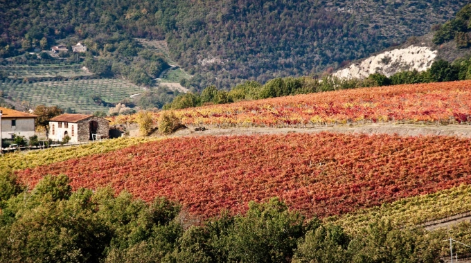 L’ADSI (Associazione Dimore Storiche Italiane) torna a Vinitaly dal 22 al 25 Marzo a Verona