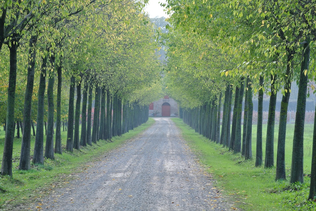 Viale di accesso