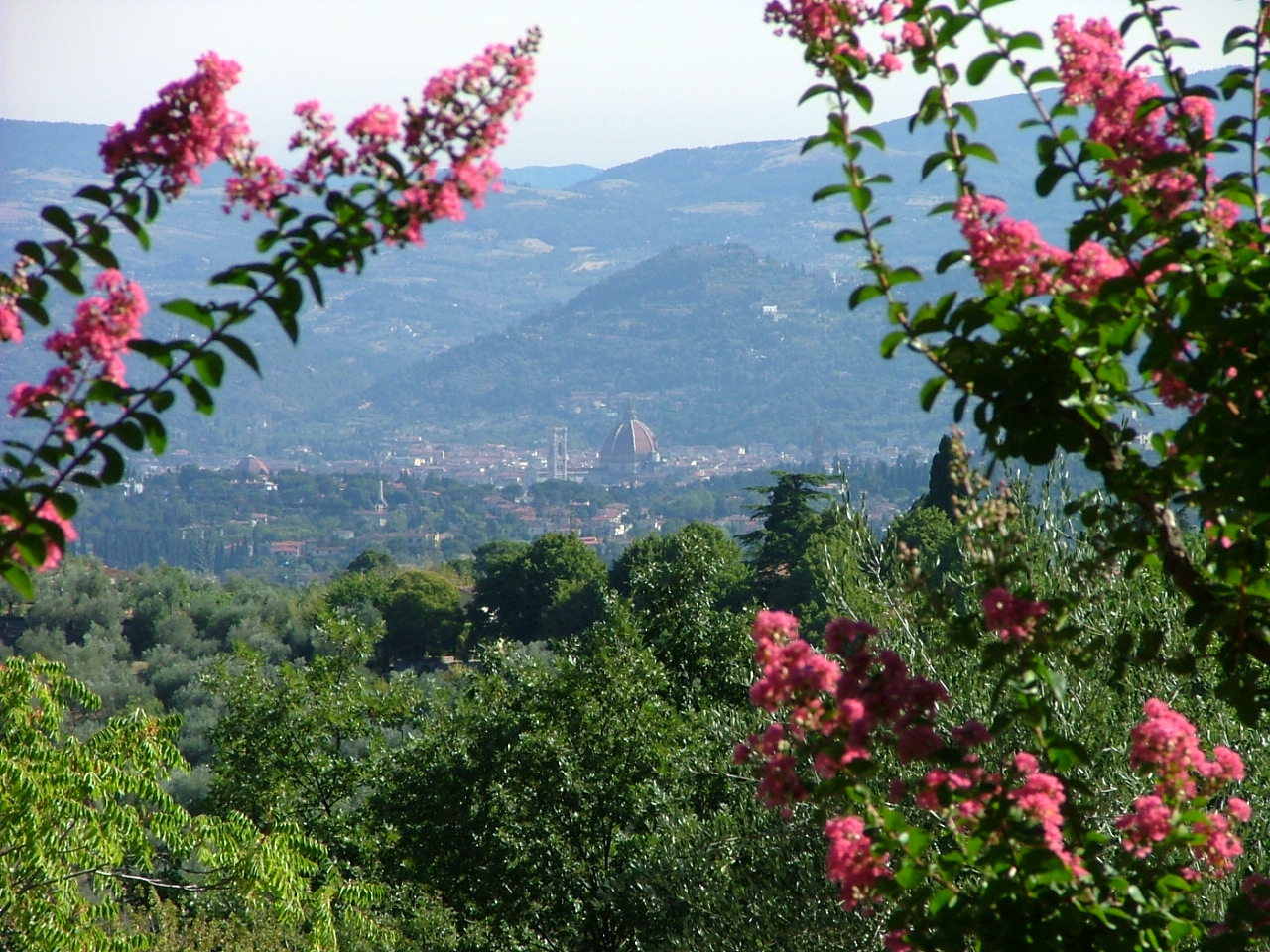 02 (vue sur Florence)