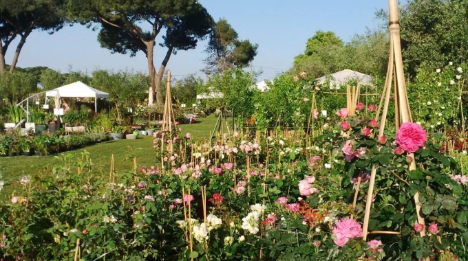 Nel week end al via la ventesima edizione del flower show “Primavera alla Landriana”