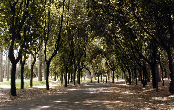 Il Giardino Romano Garden Club celebra il centenario della Guerra 1915 – 1918 a Villa Glori, Parco della Rimembranza