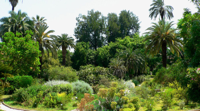 All’Orto Botanico di Roma il Fascination Plants Day!