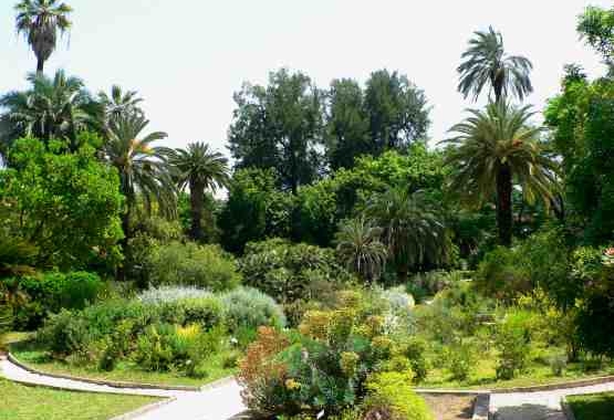All’Orto Botanico di Roma torna “MeravigliOrto”
