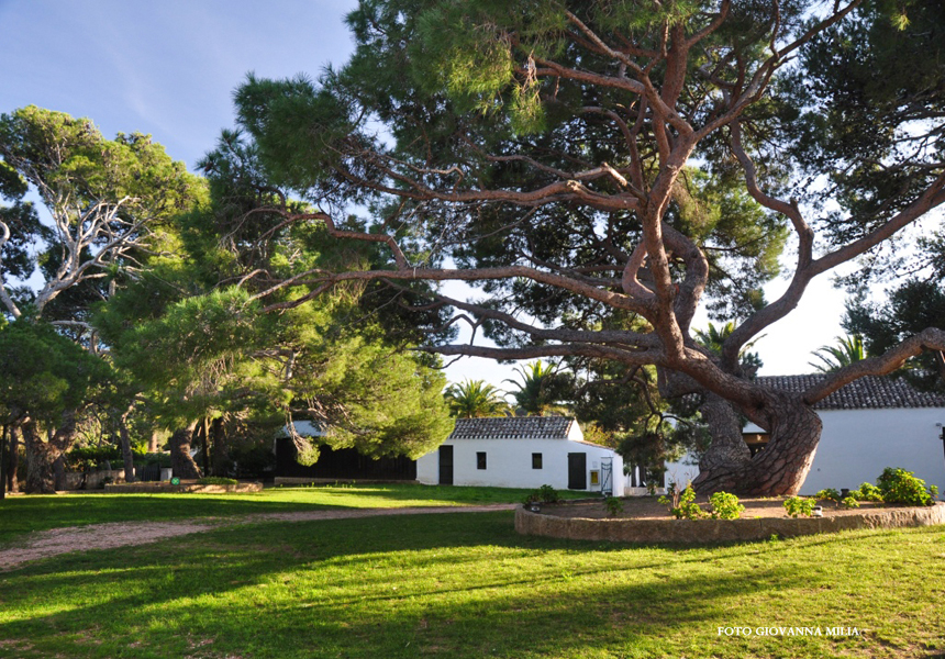 Caprera, Compendio Garibaldino, cortile (foto di Giovanna Milia) 1,5 mb