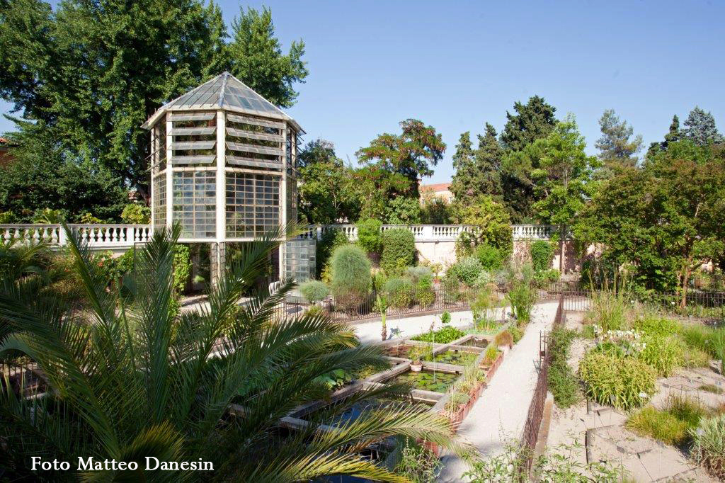 Orto Botanico di Padova Foto Matteo Danesin