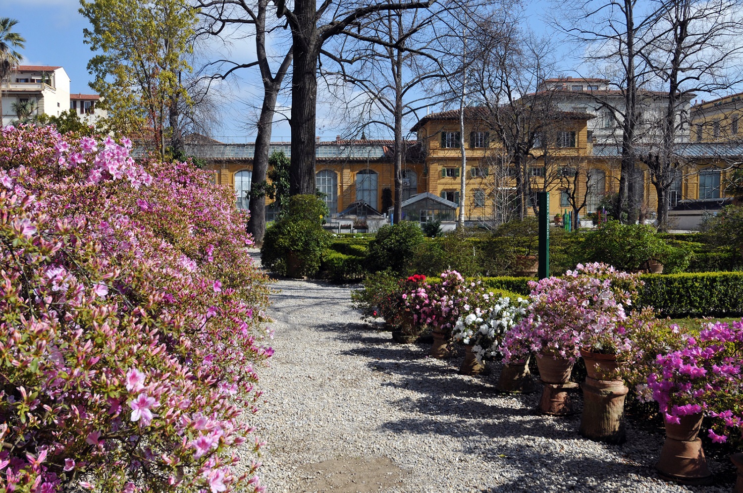 orto-botanico-firenze-spi_6460