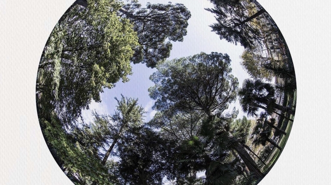 ‘La Pazienza e il Tempo’. L’APGI al convegno sui giardini storici della Campania