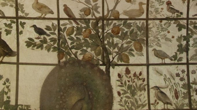 “Nature in gabbia”. A Villa Medici un workshop sulle voliere