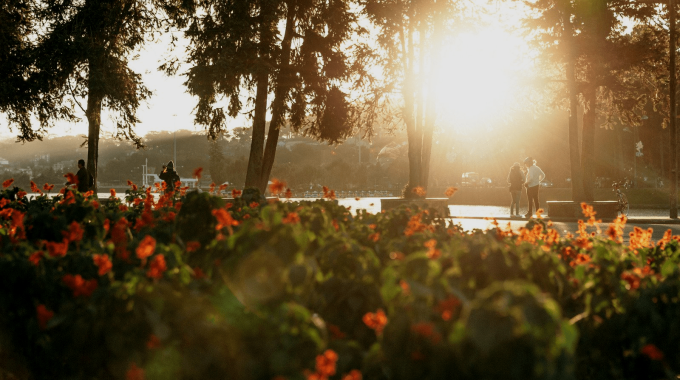 I vincitori e le foto del contest fotografico di Appuntamento in Giardino 2019