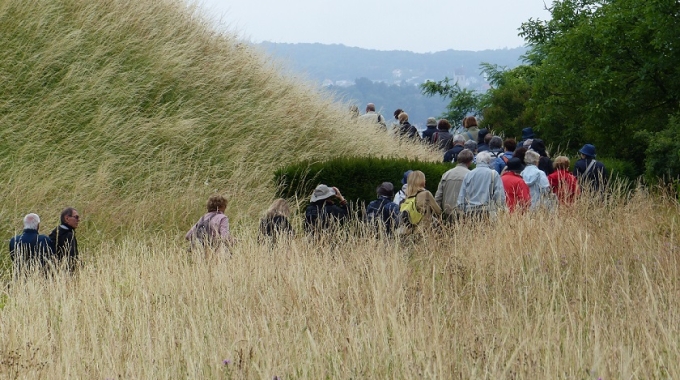 “Cammini di terra e di acqua. Il paesaggio lento”. Al via a gennaio il corso organizzato dal Gruppo Giardino Storico-Università di Padova