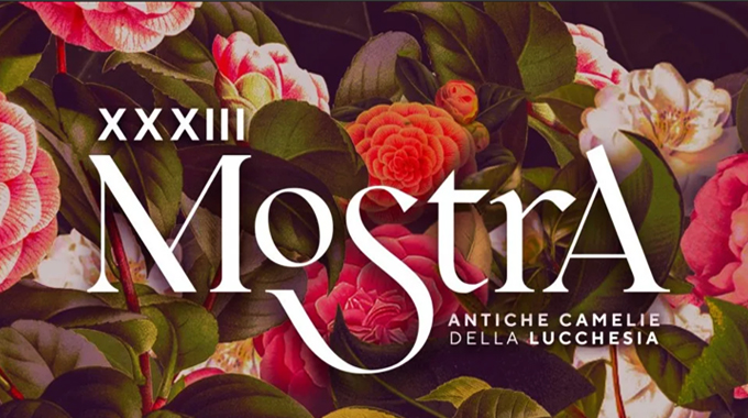 XXXIII Mostra Antiche Camelie della Lucchesia