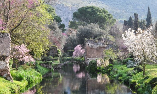 XXXIII CORSO DI AGGIORNAMENTO SUL GIARDINO STORICO E SUL PAESAGGIO CONTEMPORANEO GIULIANA BALDAN ZENONI POLITEO 2023