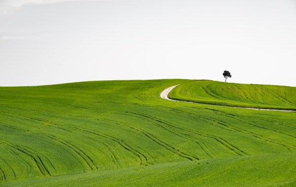 Il paesaggio può salvare il pianeta? -XXXIV CORSO DI AGGIORNAMENTO SUL GIARDINO STORICO “GIULIANA BALDAN ZENONI-POLITEO” 2024  Aspetti storici, paesaggistici, letterari, architettonici, economici, botanici e ambientali