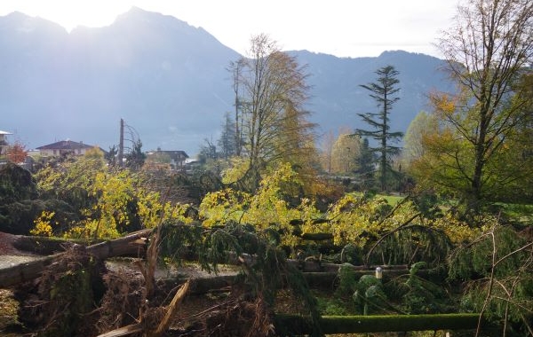 Cambiamenti climatici, territori, diversità. Se ne parla a Padova l’8 febbraio.