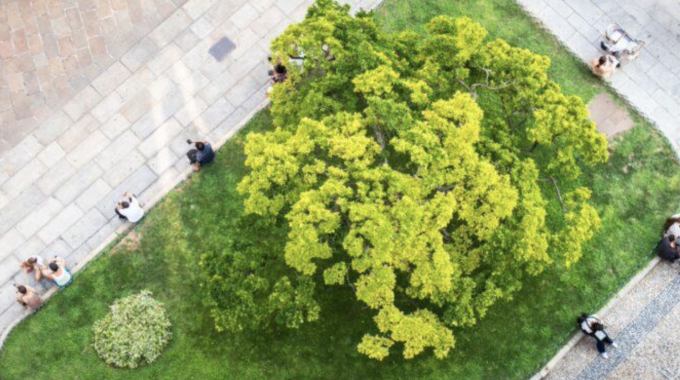 14 febbraio, Verona- Convegno “Il benessere verde nelle nostre città”