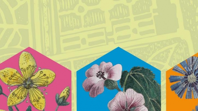 Ciclo di Conferenze: “Attraverso giardini e paesaggi. Esplorazioni e letture”.