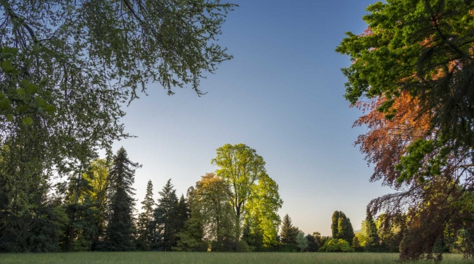 IL PIANO NAZIONALE DI RIPRESA E RESILIENZA PER LA VALORIZZAZIONE E IL RESTAURO DEI GIARDINI STORICI: L’ESPERIENZA PIEMONTESE  16-17-18 Maggio 2025