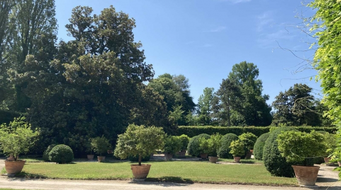 22/05 – Gli agrumi nei giardini storici mediterranei tra bellezza e produttività.