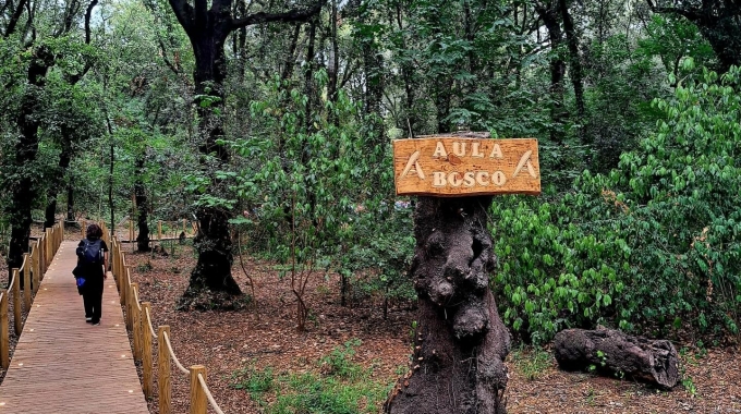 18/11- Premiazione “Premio GreenCare 2025″