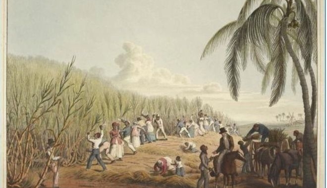 11/12 – Presentazione del XXXVI Corso di Aggiornamento sul Giardino Storico dell’Università di Padova – “Aspetti storici, paesaggistici, letterari, architettonici, economici, botanici e ambientali”